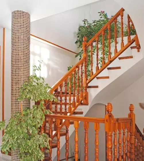 پانسیون Apartamentos Vicenta