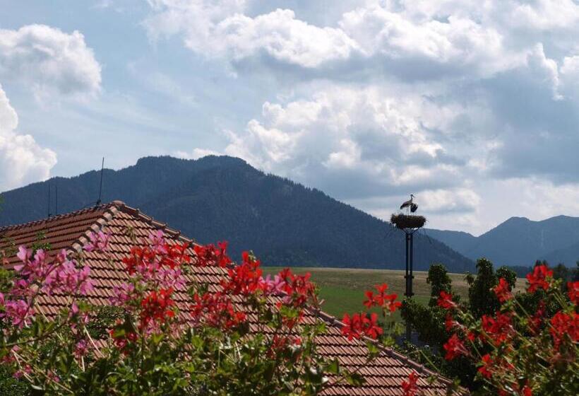 פנסיון Penzion Fortuna