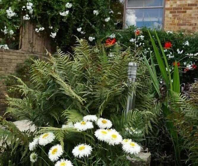 פנסיון Richmond Lane Guest House Aa Accredited