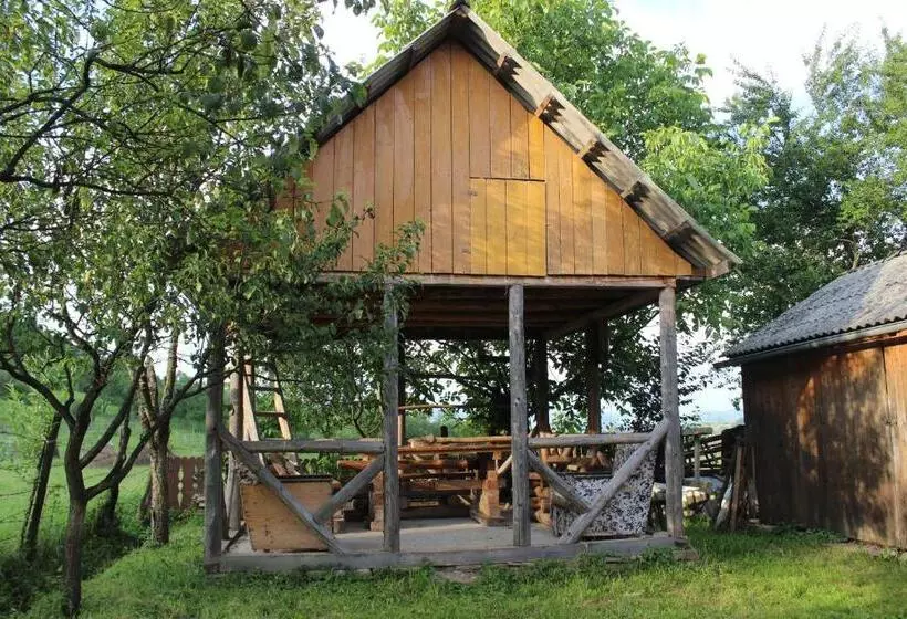 Pensiunea Ilea