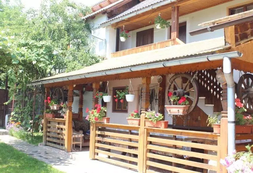 Pensiunea Ilea
