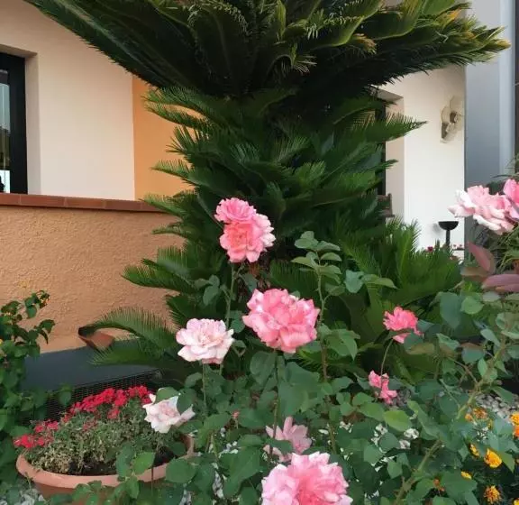 Residence Alithai