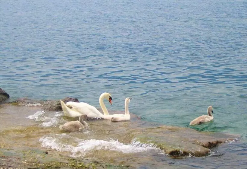 Residence Villa Beatrice