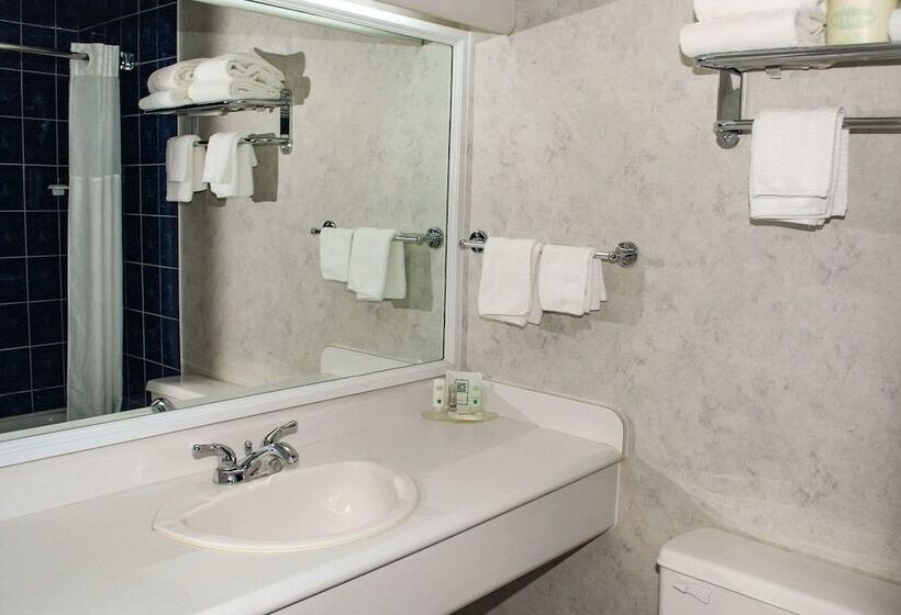 فندق صغير Rodeway Inn