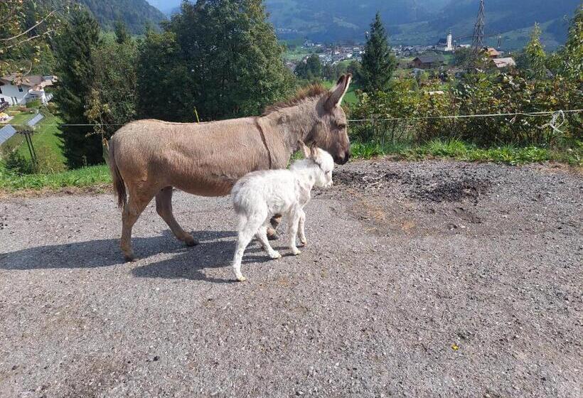 בית מלון כפרי Klockergut