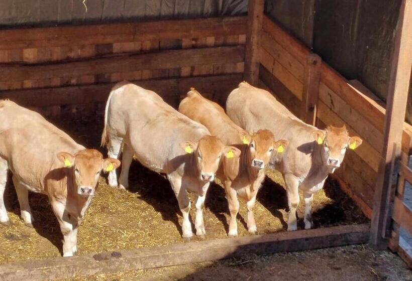 בית מלון כפרי Klockergut