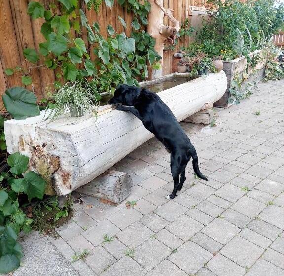 בית מלון כפרי Klockergut