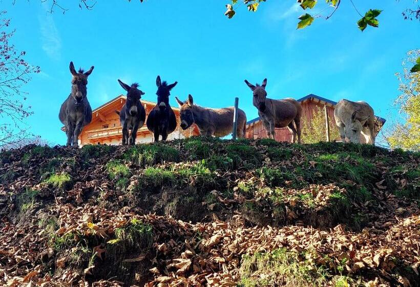 בית מלון כפרי Klockergut