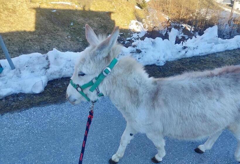 בית מלון כפרי Klockergut