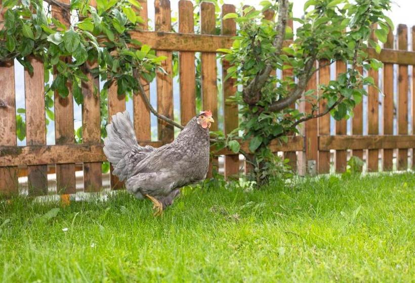 בית מלון כפרי Klockergut