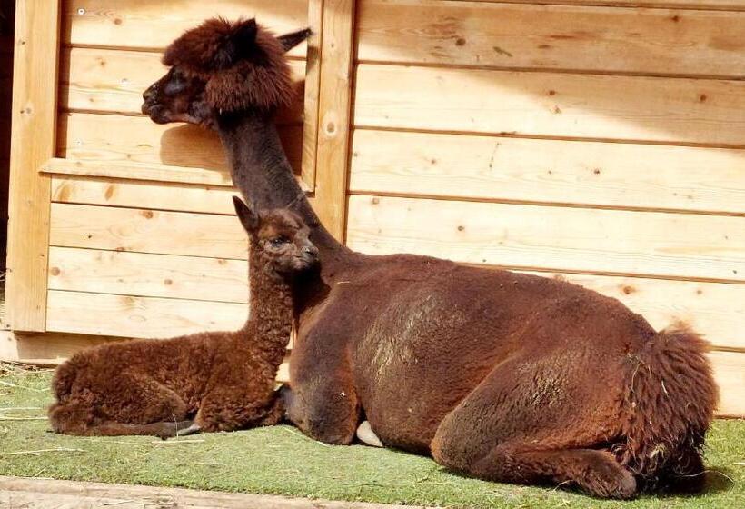 בית מלון כפרי Klockergut