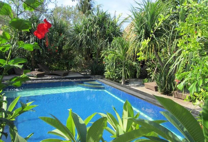 膳宿费 Gili Hideaway