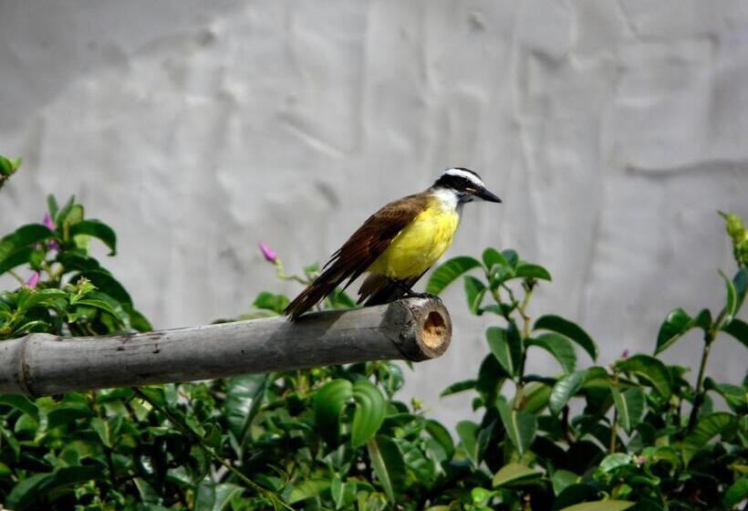 ペンション Pousada O Refúgio