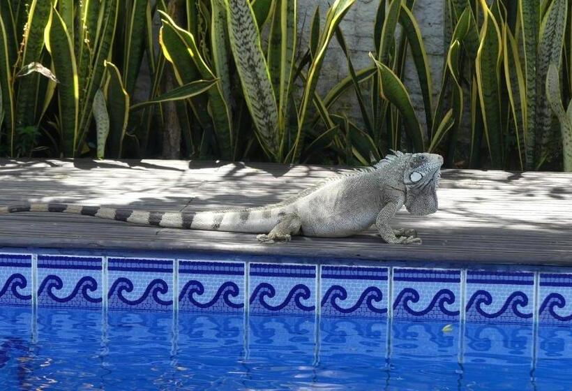 ペンション Pousada O Refúgio