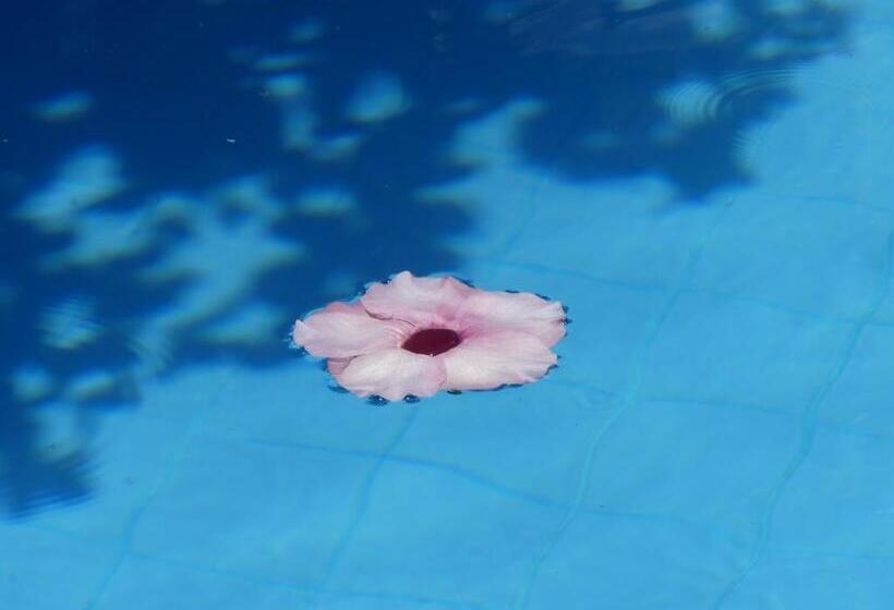 ペンション Pousada O Refúgio