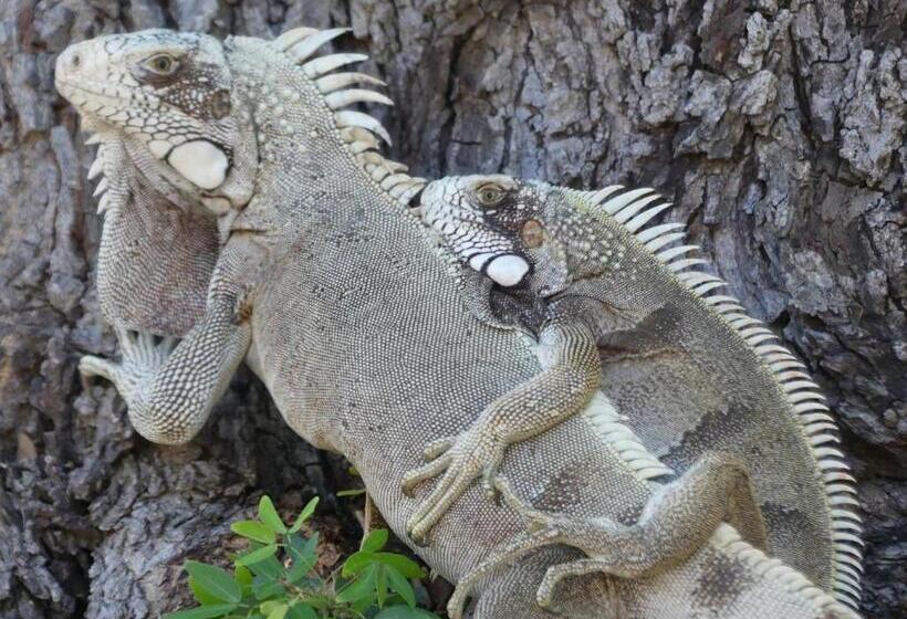 ペンション Pousada O Refúgio