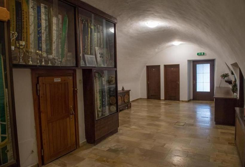 فندق Blaue Traube