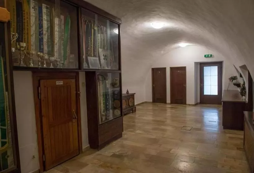 Hotelli Blaue Traube