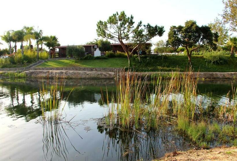 בית מלון כפרי Herdade Do Sardanito Da Frente