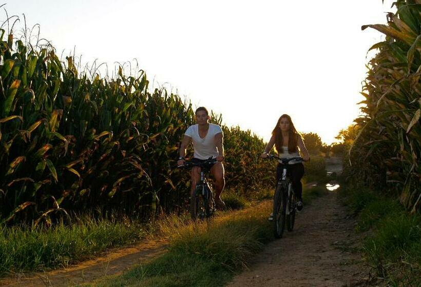 בית מלון כפרי Herdade Do Sardanito Da Frente