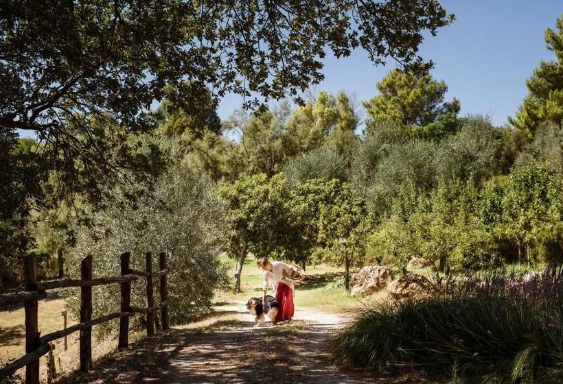 Boutique Hotel Poggio Ai Santi   Adults Only