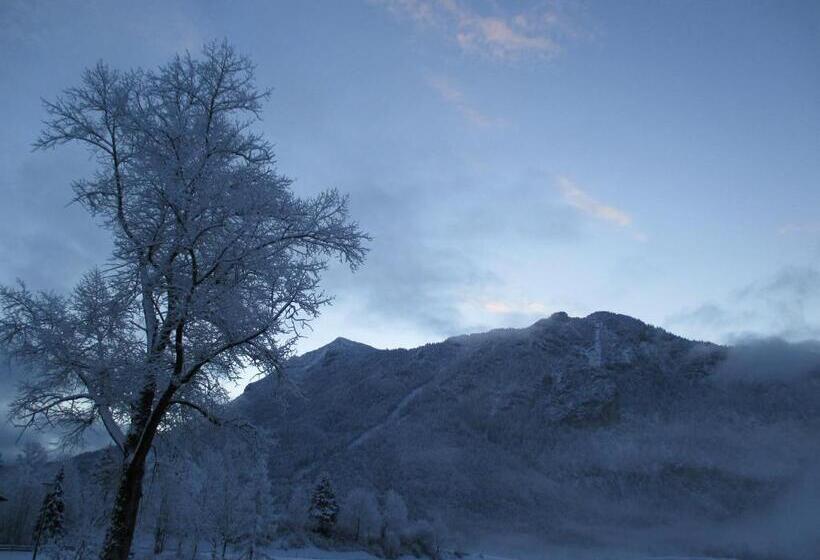 ペンション Gästehaus Barbara Schwaiger