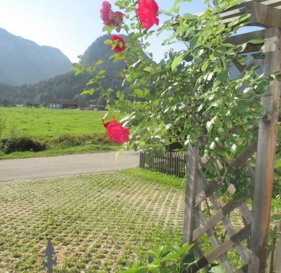 ペンション Gästehaus Barbara Schwaiger