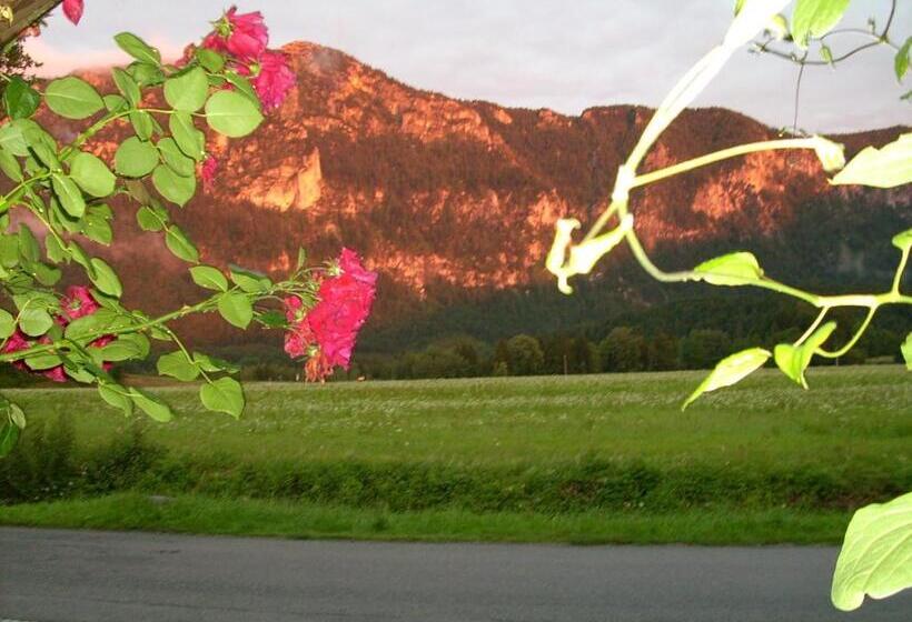 ペンション Gästehaus Barbara Schwaiger