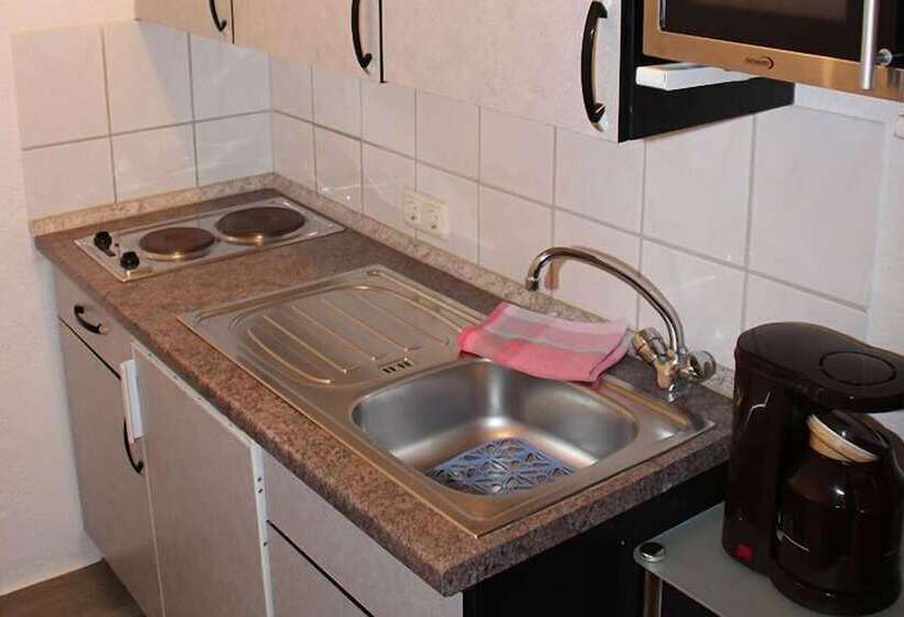 펜션 Haus Alexander