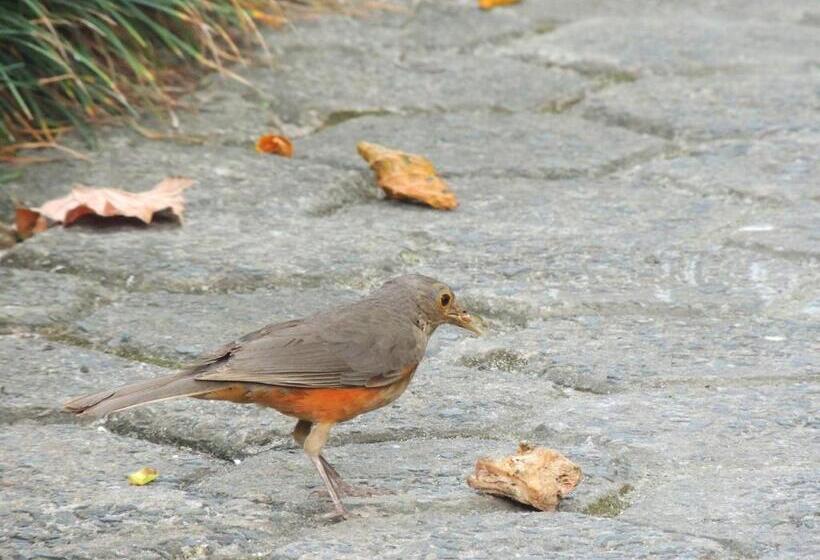 هاستل Marinas Pousada