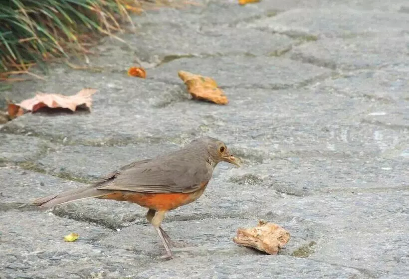 هاستل Marinas Pousada