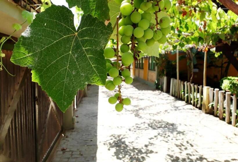 هاستل Marinas Pousada