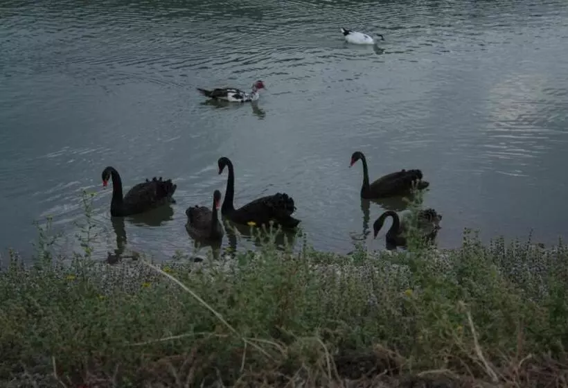 ホテル Agriturismo Il Daino