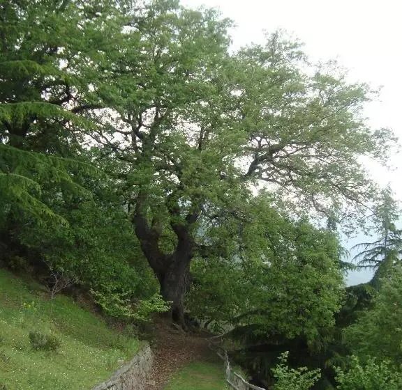 ホテル Agriturismo Il Daino