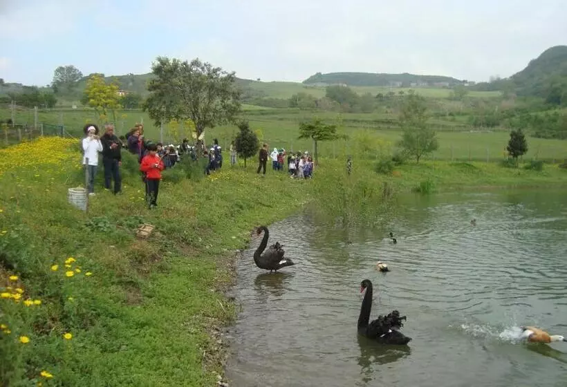 ホテル Agriturismo Il Daino