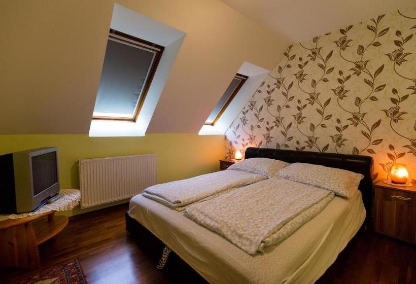 بنسيون Alíz Vendégház