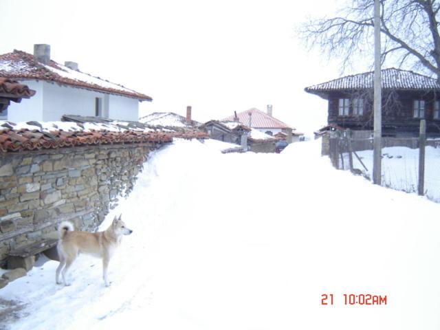 膳宿费 Kenara Guest House