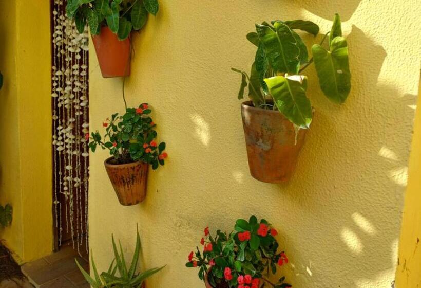 膳宿费 Pousada Vivenda Oriente