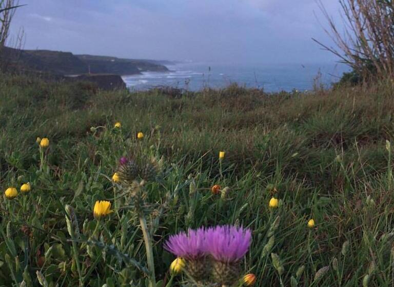 بنسيون Silver Coast Vacation   Your Unique Inn