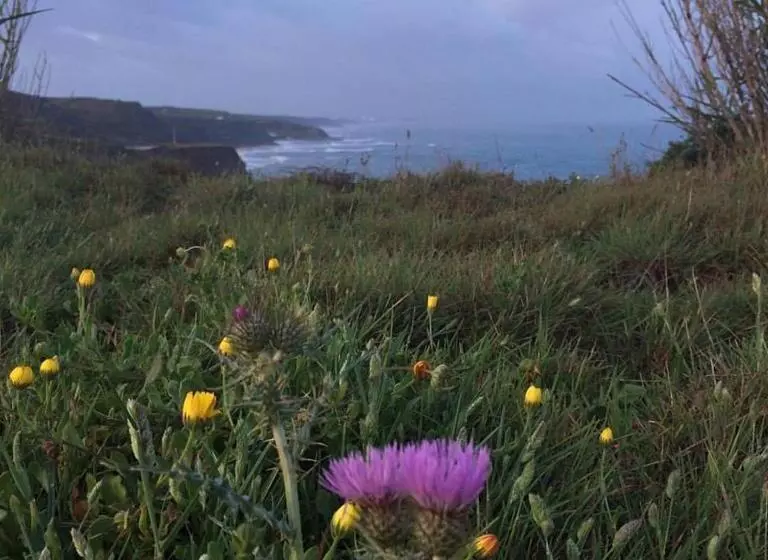 Majatalo Silver Coast Vacation   Your Unique Inn