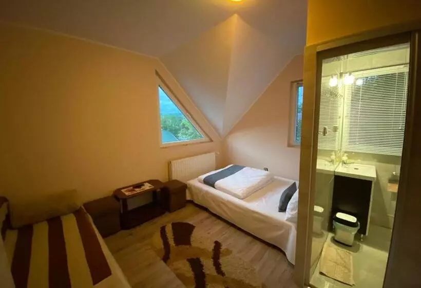 Pension Vila Eszter