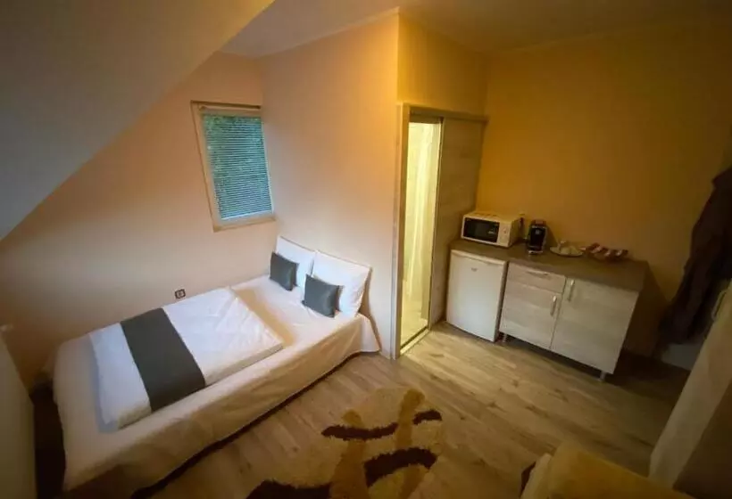 Pension Vila Eszter