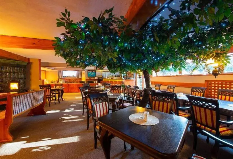 ペンション Wellness Vila Astra