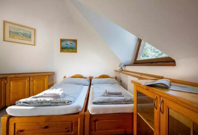 ペンション Wellness Vila Astra