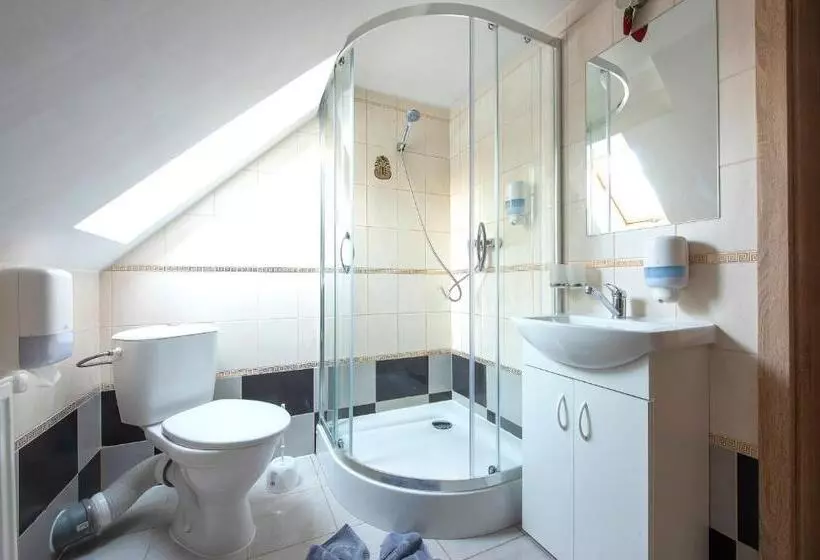 ペンション Wellness Vila Astra