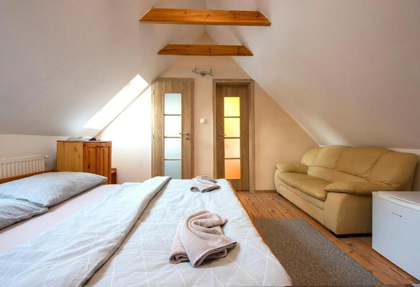 פנסיון Wellness Vila Astra