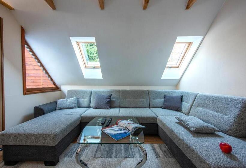 פנסיון Wellness Vila Astra