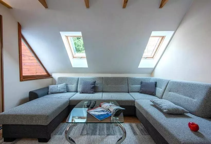 ペンション Wellness Vila Astra