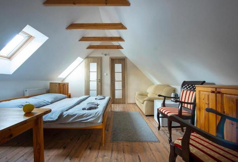 פנסיון Wellness Vila Astra