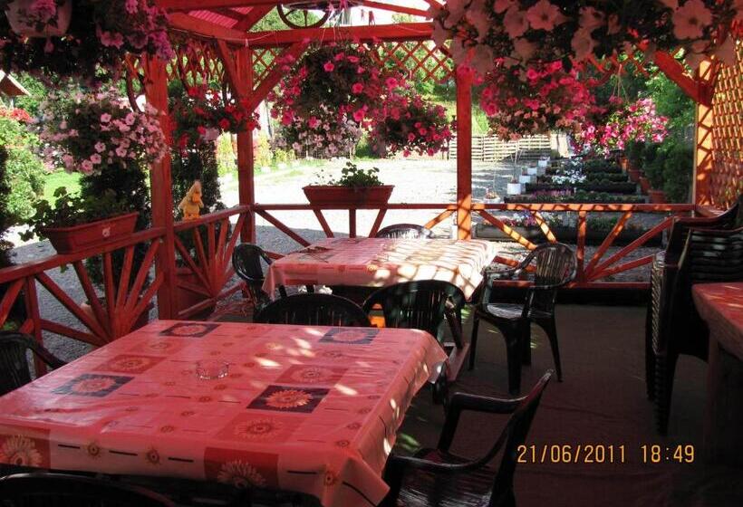 Pensiunea Robi&norbi Sovata